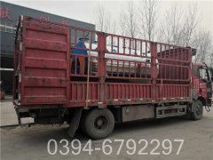 3吨燃气云博线上官网·中国有限责任公司价格查询