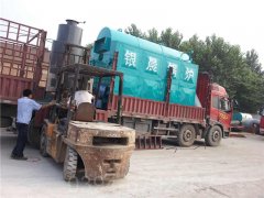 0.7t低氮云博线上官网·中国有限责任公司