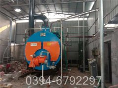 12吨低氮冷凝乐动在线(中国)