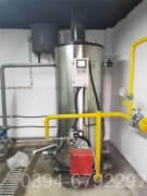 10万大卡冷凝低氮热水乐动在线(中国)