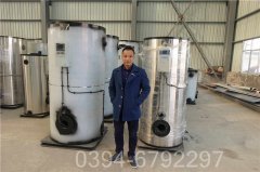 0.2吨立式燃气热水乐动在线(中国)