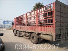 40万大卡低氮冷凝热水乐动在线(中国)