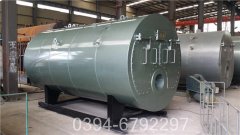 天然气蒸汽乐动在线(中国)型号