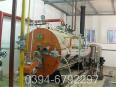 0.3吨冷凝热水乐动在线(中国)