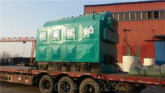 10吨低氮燃气乐动在线(中国)