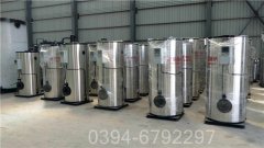 立式蒸汽乐动在线(中国)公司