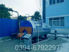 燃气卧式蒸汽乐动在线(中国)