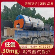 WNS10-1.25-QY三回程蒸汽乐动在线(中国)银晨乐动在线(中国)客户服务