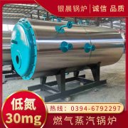 WNS10-1.25-QY冷凝蒸汽乐动在线(中国)太康县银晨乐动在线(中国)有限公司