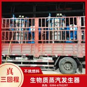 WNS20-1.25-QY低氮冷凝蒸汽乐动在线(中国)银晨乐动在线(中国)售后服务