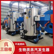 WNS6-1.25-QY冷凝蒸汽乐动在线(中国)银晨乐动在线(中国)客户服务