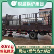 WNS3-1.25-QY柴油蒸汽乐动在线(中国)银晨乐动在线(中国)集团有限公司