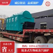 WNS0.7-1.0-QY柴油蒸汽乐动在线(中国)银晨乐动在线(中国)客户服务