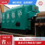 WNS0.3-0.7-QY柴油蒸汽乐动在线(中国)河南银晨乐动在线(中国)