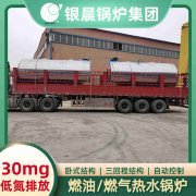 20吨柴油蒸汽乐动在线(中国)银晨乐动在线(中国)
