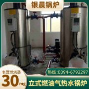 20吨低氮蒸汽乐动在线(中国)银晨乐动在线(中国)售后服务