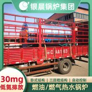 10吨燃气蒸汽乐动在线(中国)银晨乐动在线(中国)厂