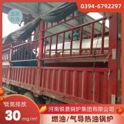 15吨低氮蒸汽乐动在线(中国)银晨乐动在线(中国)集团有限公司