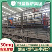 1吨节能蒸汽乐动在线(中国)银晨乐动在线(中国)