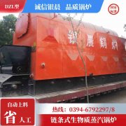 0.7吨节能蒸汽乐动在线(中国)河南银晨乐动在线(中国)集团有限公司