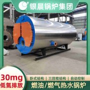 0.3吨低氮蒸汽乐动在线(中国)银晨乐动在线(中国)厂