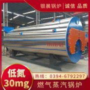 0.3吨低氮蒸汽乐动在线(中国)河南银晨乐动在线(中国)集团有限公司