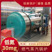 天然气蒸汽乐动在线(中国)厂家