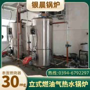 燃气型承压热水乐动在线(中国)