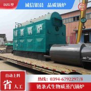 1吨低氮冷凝乐动在线(中国)