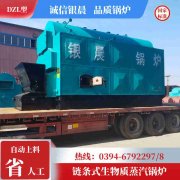 卧式燃油热水乐动在线(中国)
