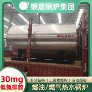 卧式燃煤蒸汽乐动在线(中国)