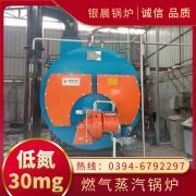 10吨低氮冷凝乐动在线(中国)