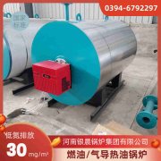 15吨生物质乐动在线(中国)