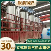 小型立式燃油蒸汽乐动在线(中国)