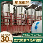 燃油卧式热水乐动在线(中国)