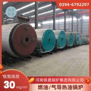 12吨燃油热水乐动在线(中国)