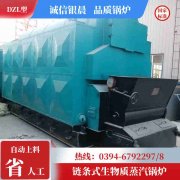 CLHS0.35-85/60-QY热水乐动在线(中国)