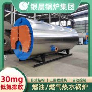 0.3吨燃气热水乐动在线(中国)