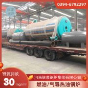 0.2吨燃气热水乐动在线(中国)