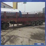 12吨燃煤云博线上官网·中国有限责任公司WNS1出口配套