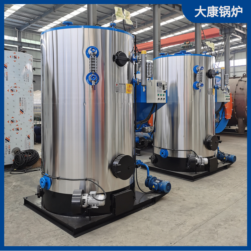 立式生物质蒸汽云博线上官网·中国有限责任公司1