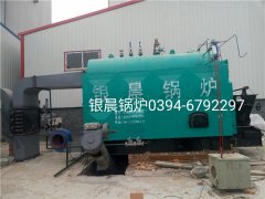 DZL2-1.25-T型2吨生物质蒸汽云博线上官网·中国有限责任公司安装现场