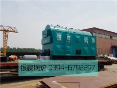 DZH4-1.25-T型4吨生物质蒸汽云博线上官网·中国有限责任公司发货